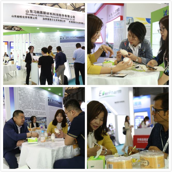 第十九届世界制药原料医药展