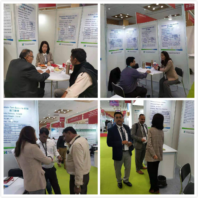 2019 CPHI印度展会